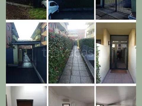 immagine annuncio 2 di 4