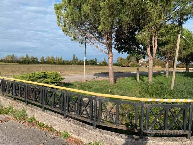 immagine annuncio 11 di 12