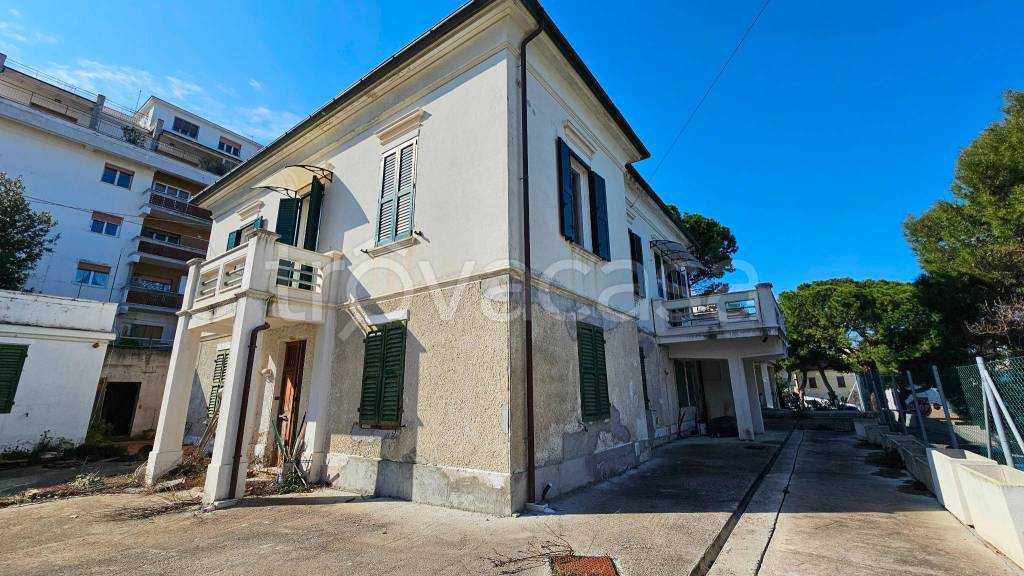 immagine annuncio 11 di 12