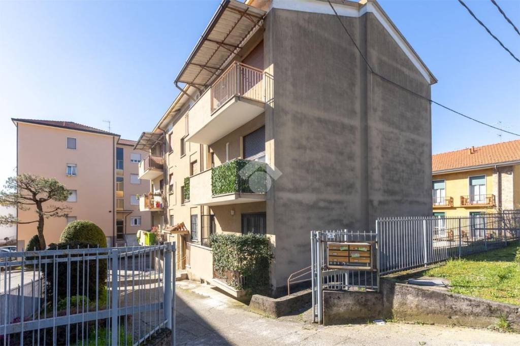 immagine annuncio 14 di 15