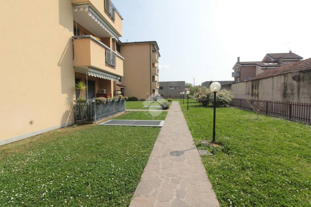 immagine annuncio 9 di 15