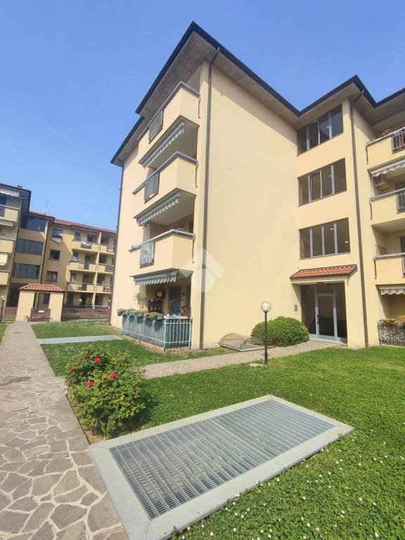 immagine annuncio 12 di 15