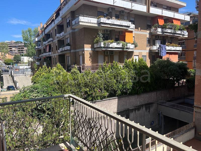 immagine annuncio 7 di 12