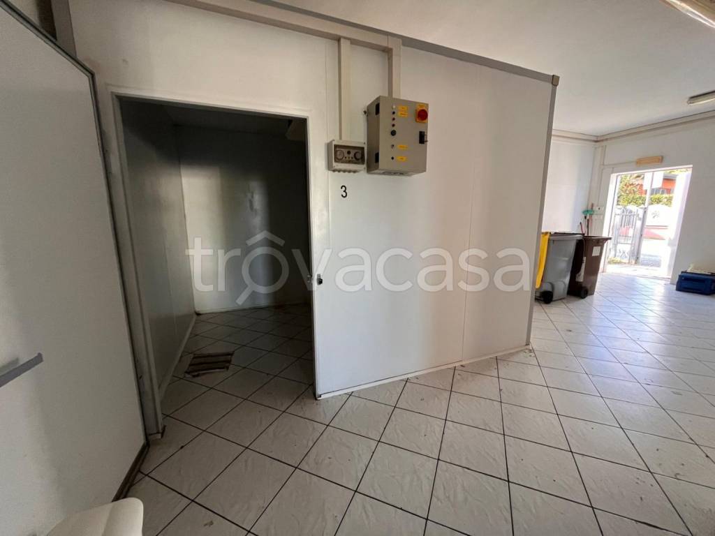 immagine annuncio 10 di 14
