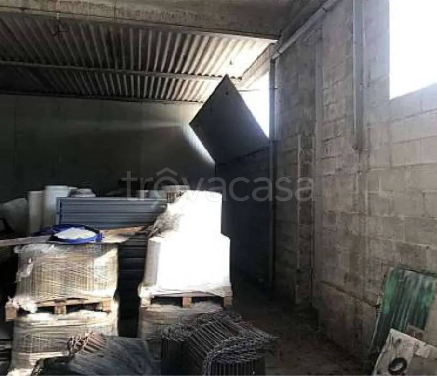 immagine annuncio 5 di 11