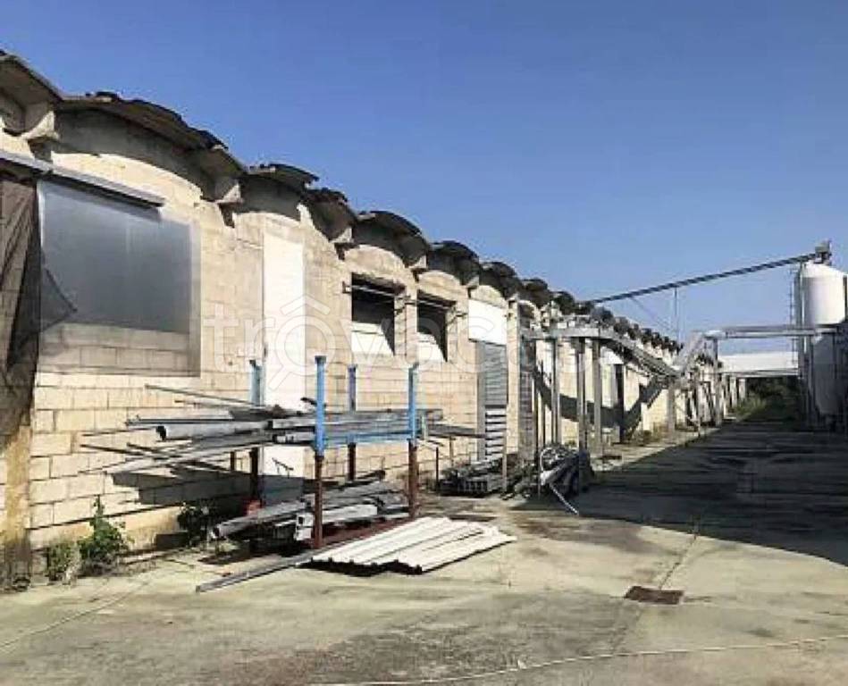 immagine annuncio 10 di 11