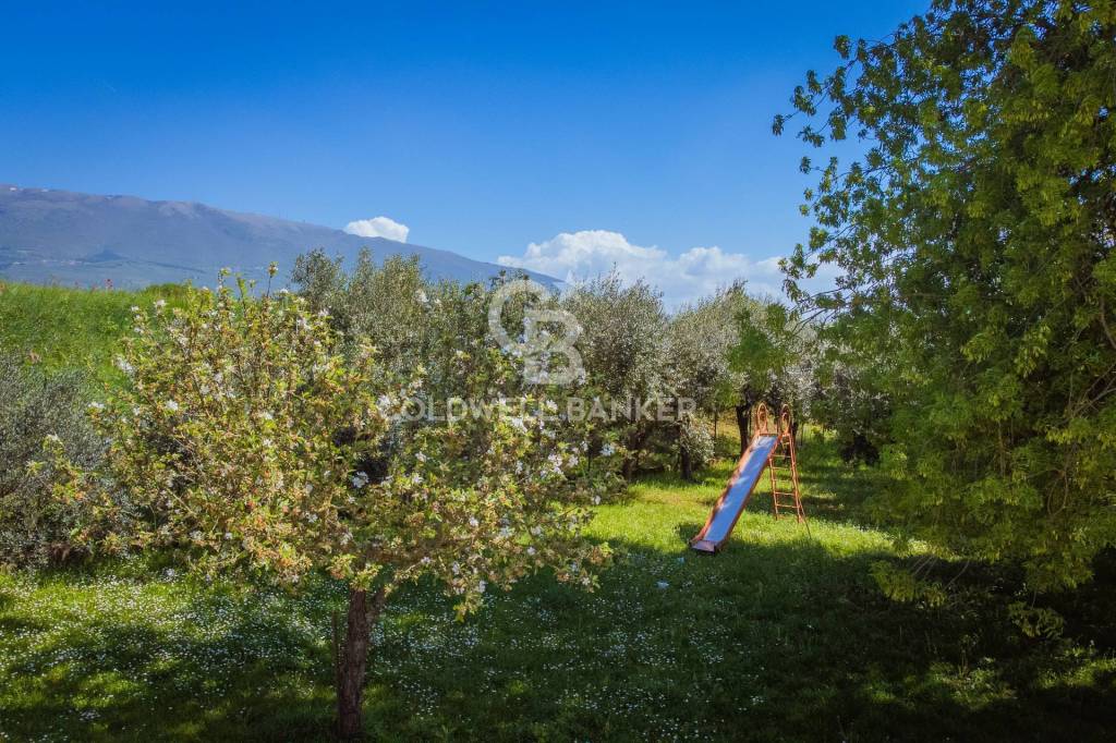 immagine annuncio 10 di 14