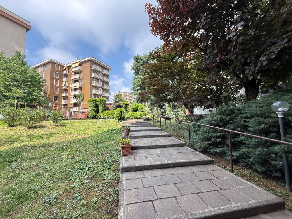 immagine annuncio 6 di 15