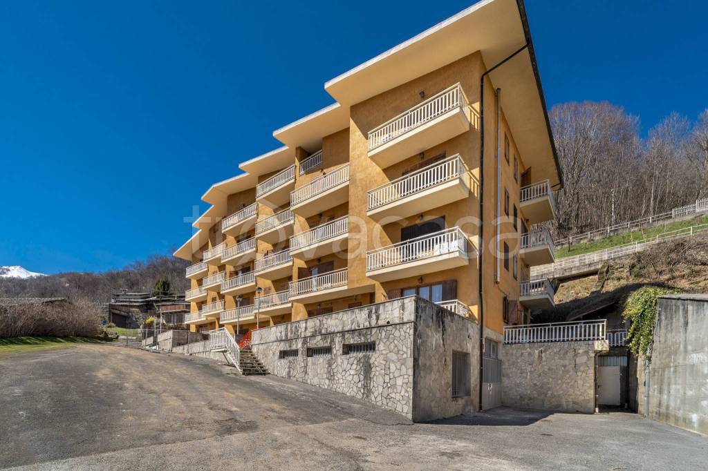 immagine annuncio 12 di 15