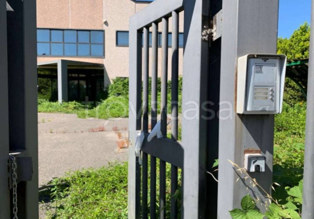 immagine annuncio 1 di 11