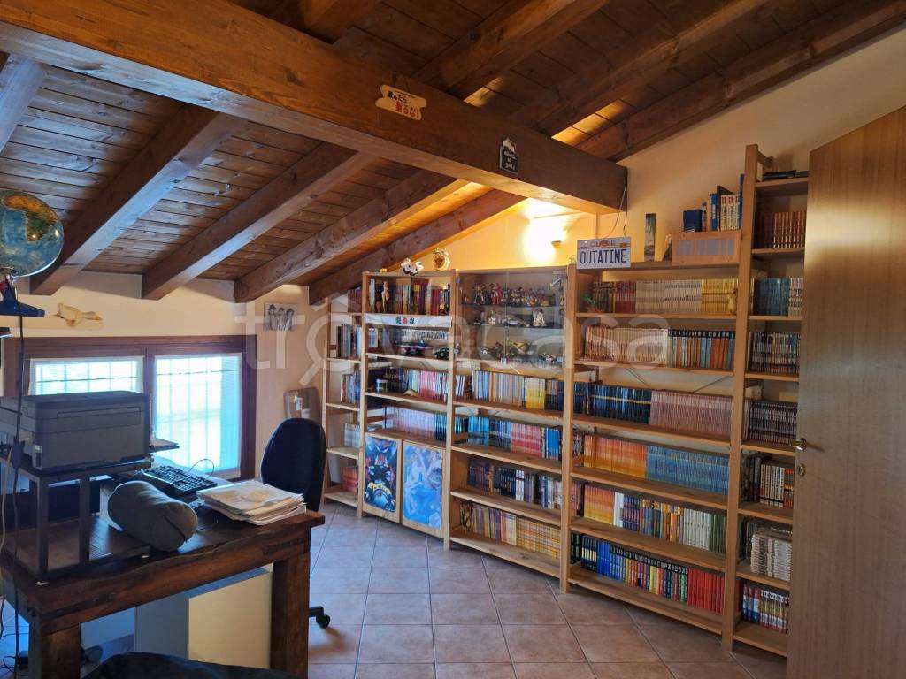 immagine annuncio 11 di 15