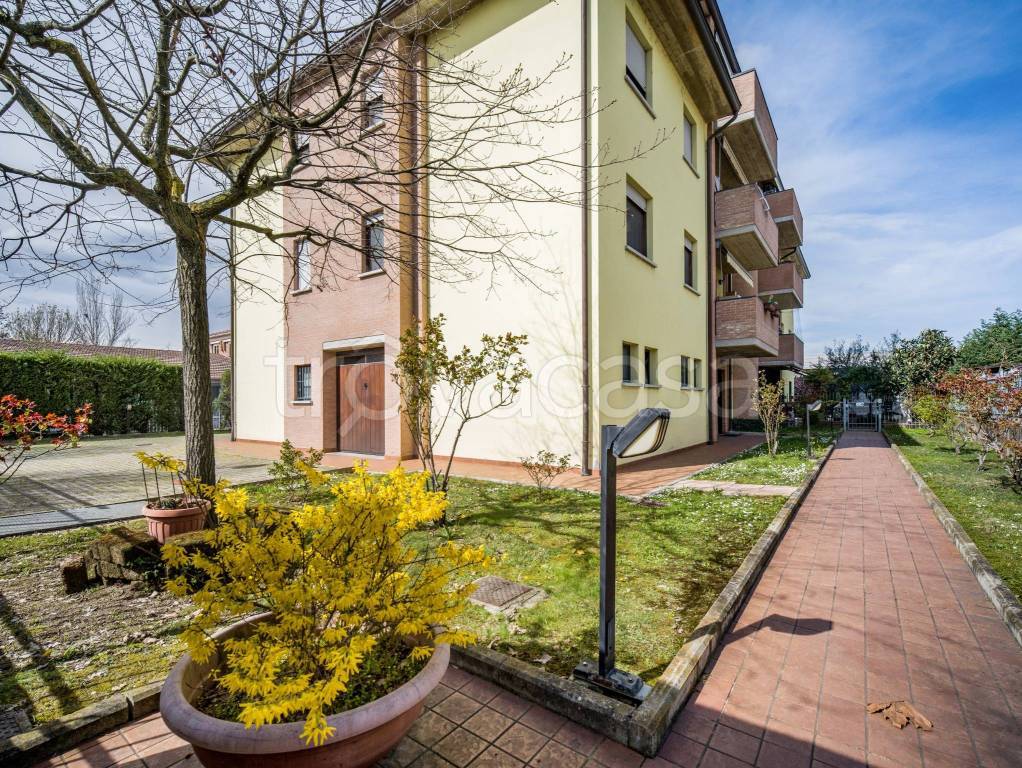 immagine annuncio 6 di 9