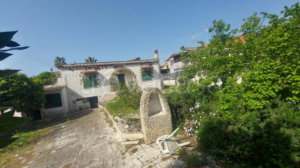 immagine annuncio 2 di 6