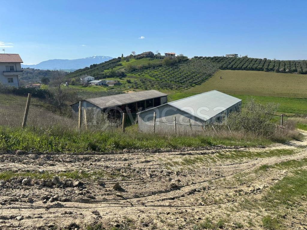 immagine annuncio 10 di 14