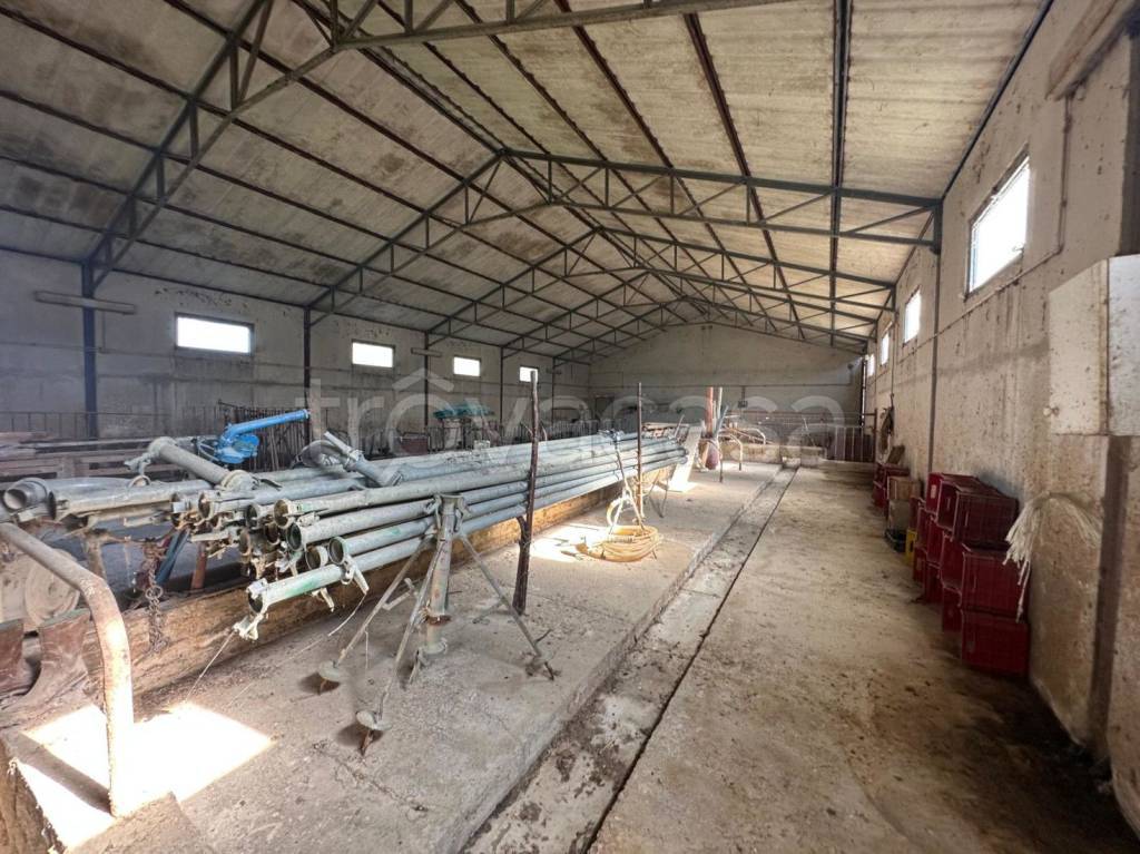 immagine annuncio 5 di 14