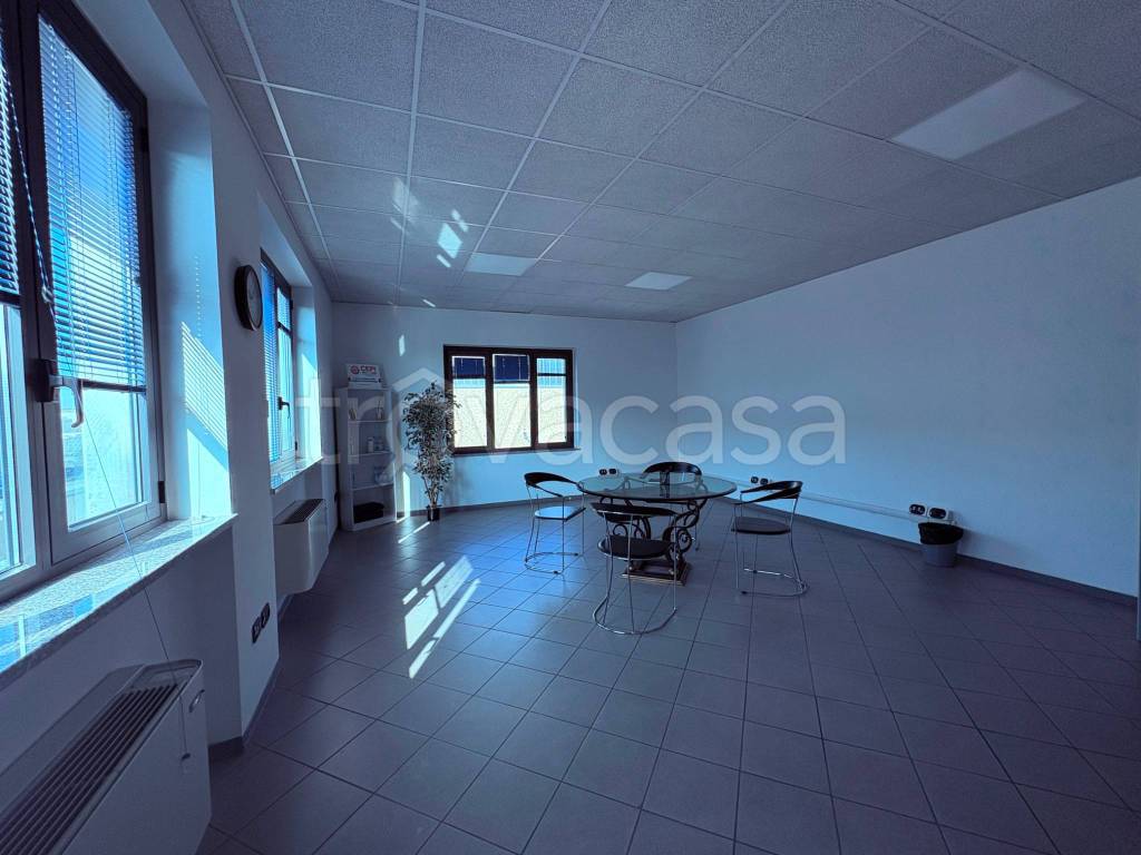 immagine annuncio 9 di 14