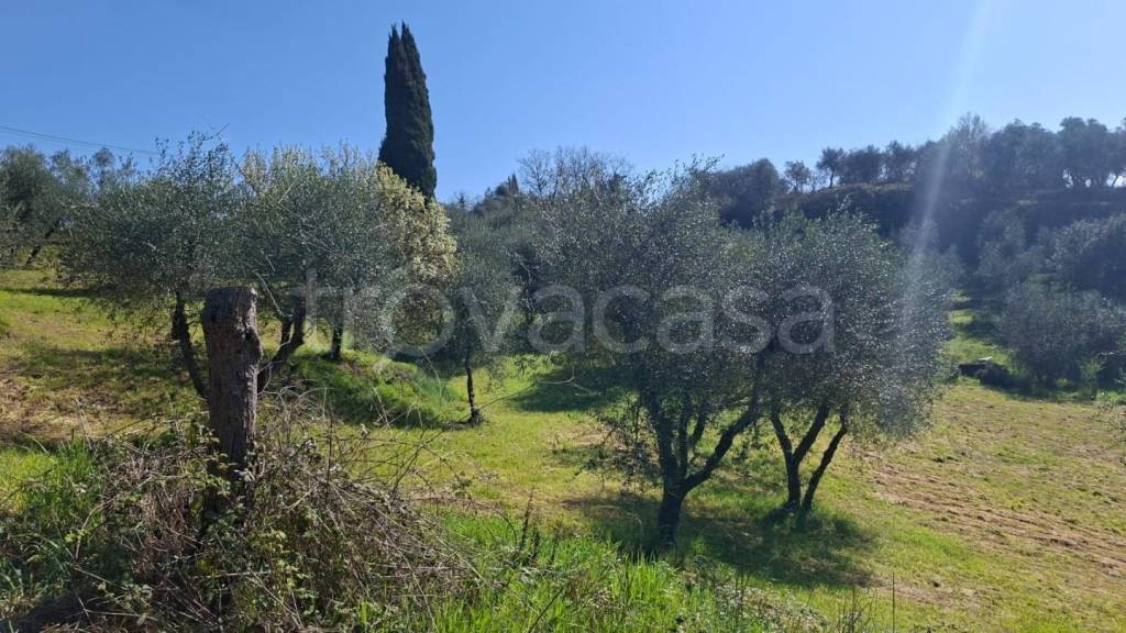 immagine annuncio 1 di 8