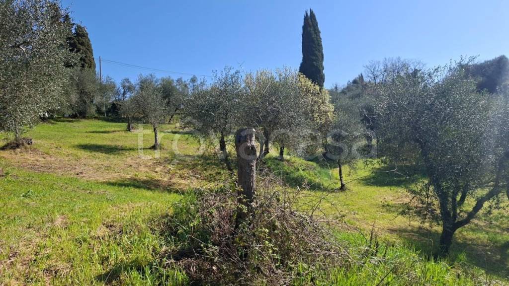 immagine annuncio 3 di 8