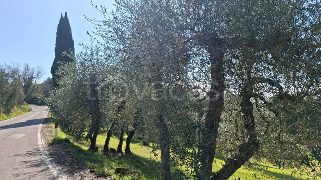 immagine annuncio 4 di 8