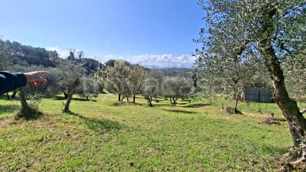 immagine annuncio 5 di 8