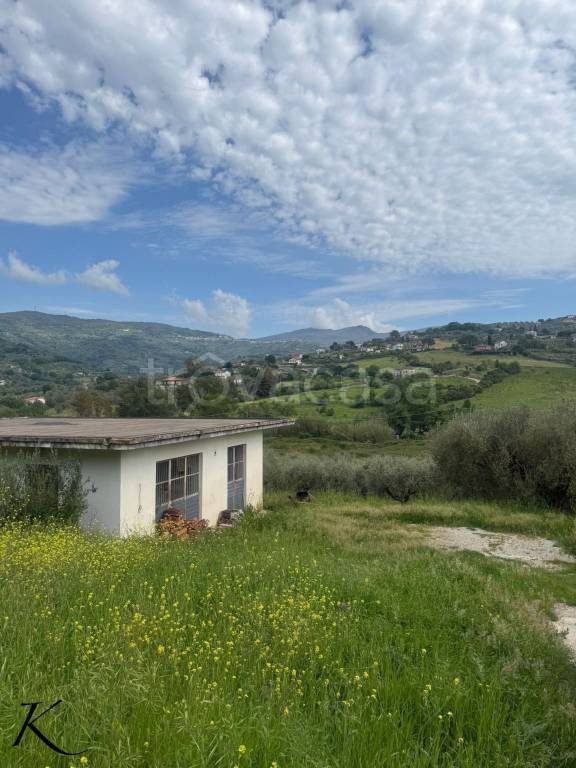 immagine annuncio 3 di 12