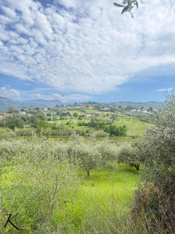 immagine annuncio 4 di 12