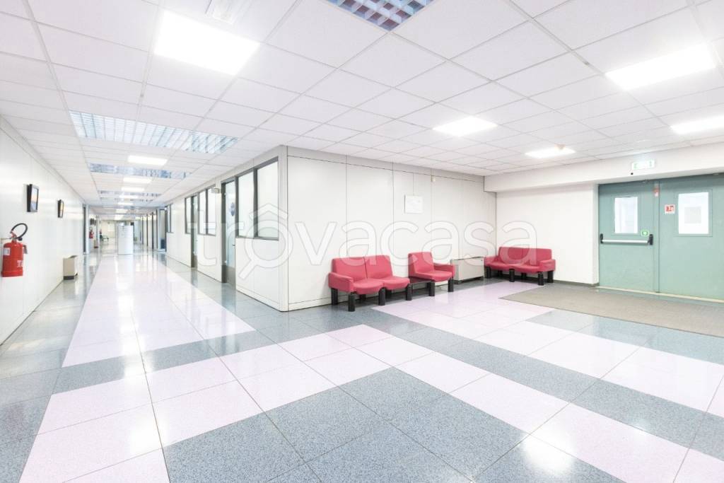 immagine annuncio 7 di 13