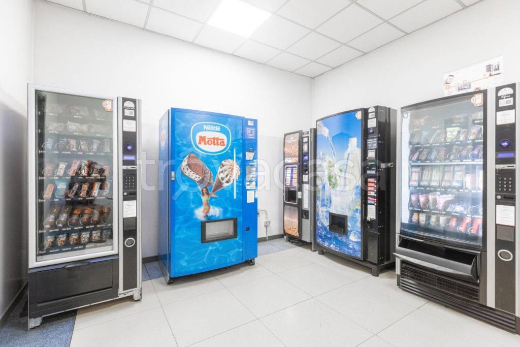 immagine annuncio 8 di 13