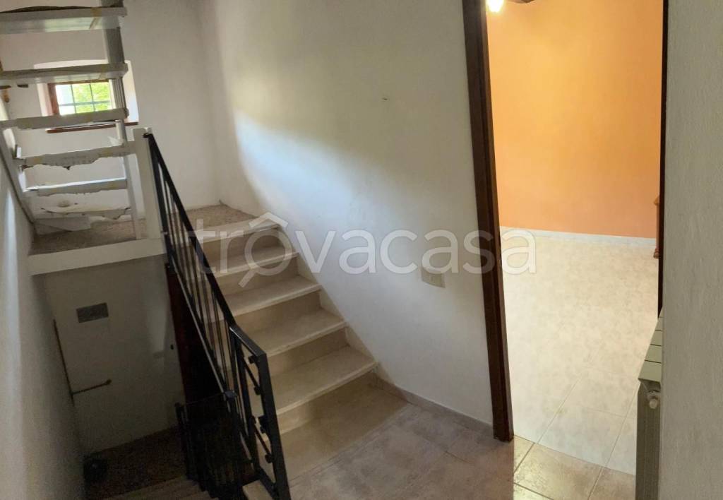 immagine annuncio 4 di 8