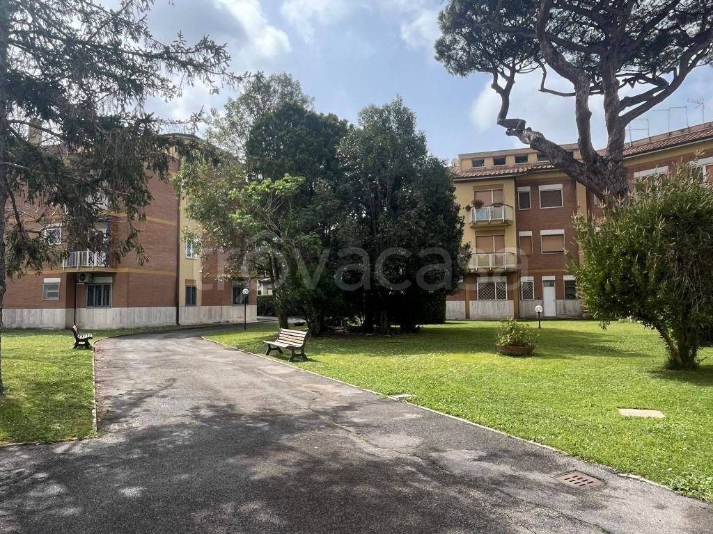 immagine annuncio 1 di 14