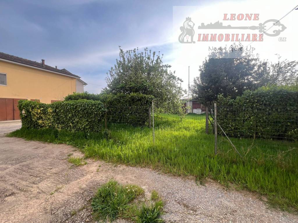 immagine annuncio 5 di 11