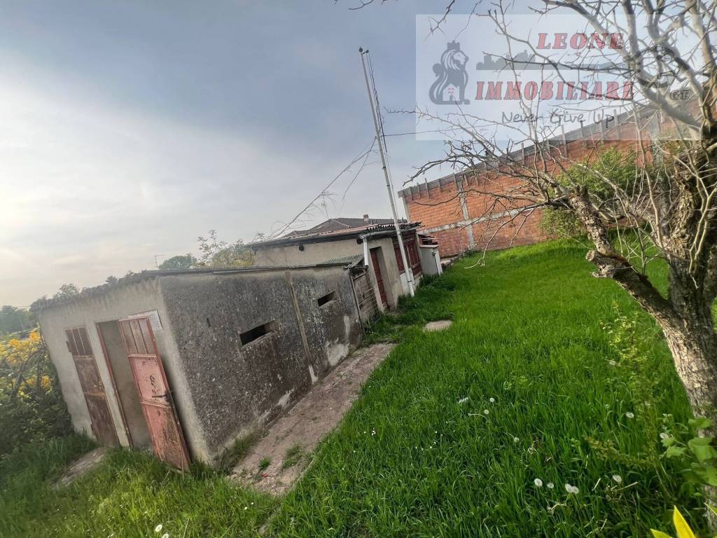 immagine annuncio 6 di 11