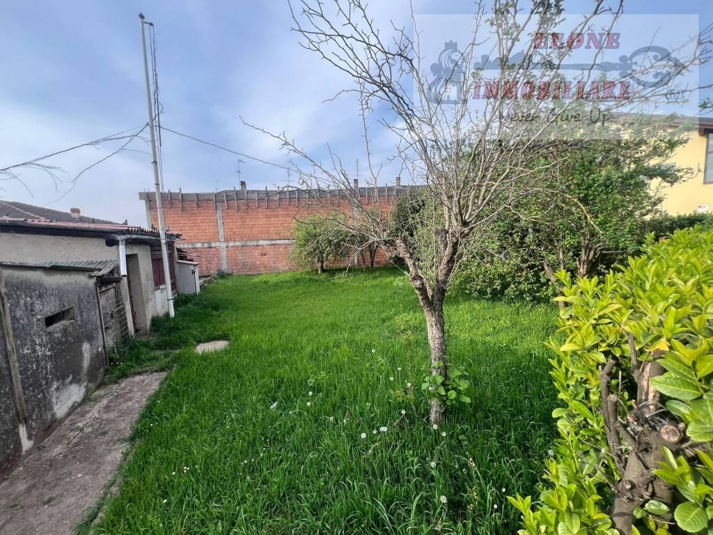 immagine annuncio 8 di 11