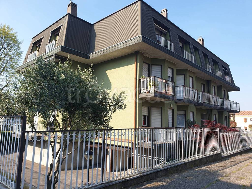 immagine annuncio 4 di 15