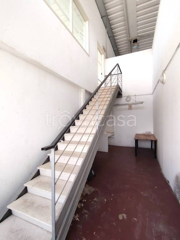 immagine annuncio 2 di 7