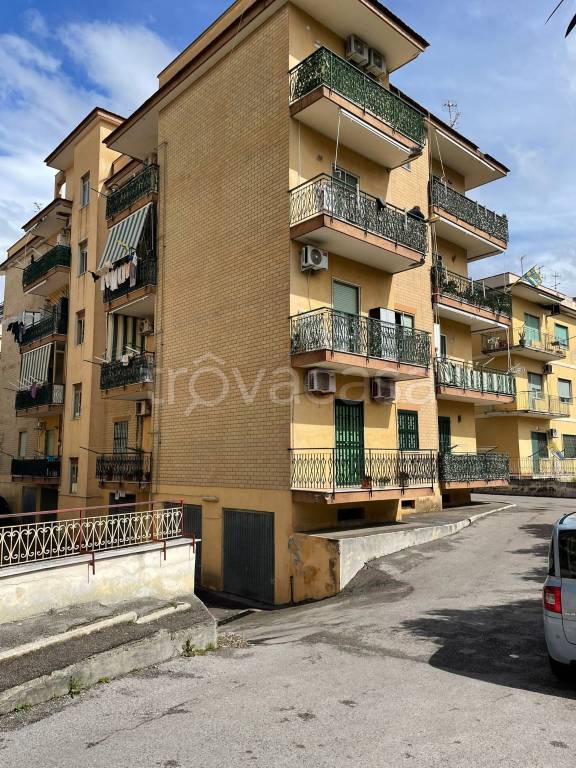 immagine annuncio 6 di 7