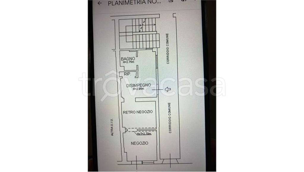 immagine annuncio 10 di 11