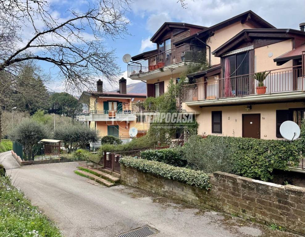 immagine annuncio 11 di 14