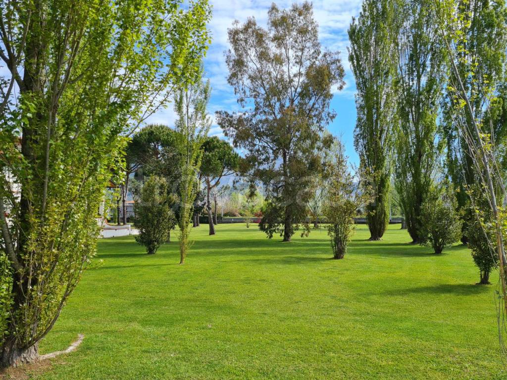 immagine annuncio 4 di 13