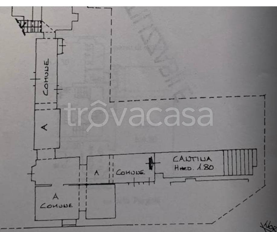 immagine annuncio 6 di 7