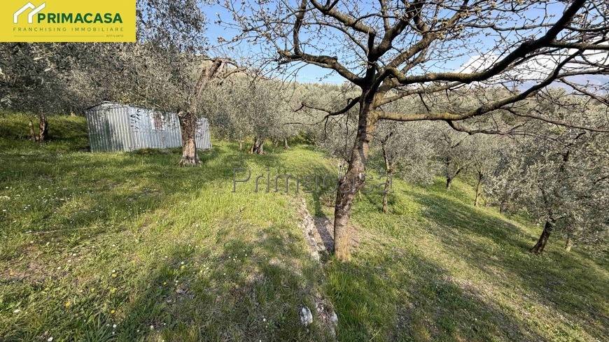 immagine annuncio 2 di 9