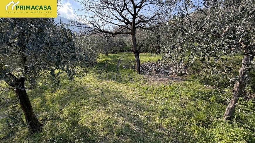 immagine annuncio 5 di 9