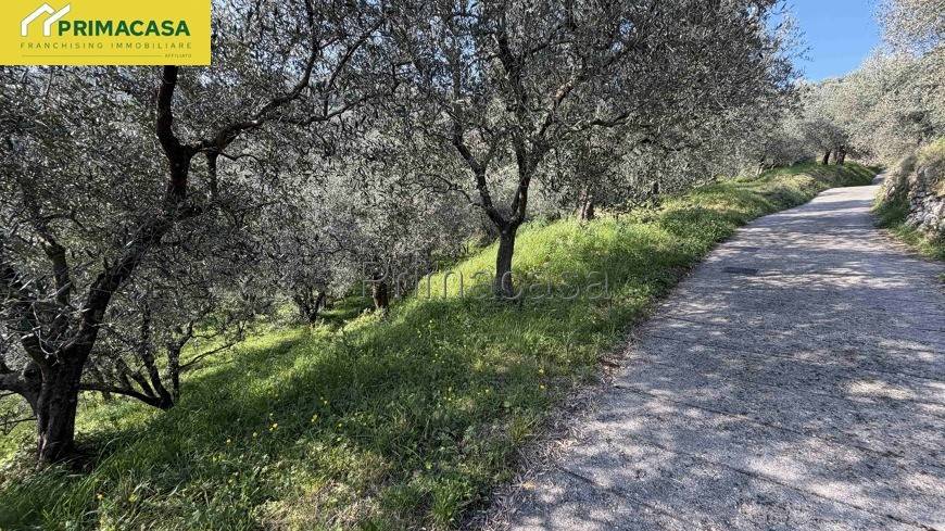 immagine annuncio 8 di 9