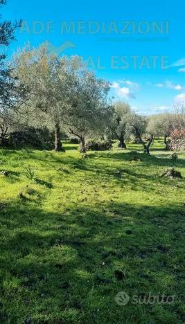 immagine annuncio 1 di 6