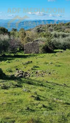 immagine annuncio 4 di 6