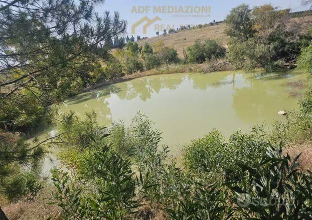 immagine annuncio 1 di 13