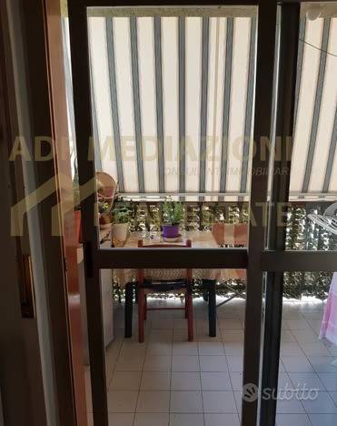 immagine annuncio 10 di 12