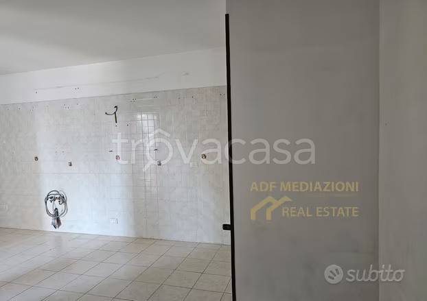 immagine annuncio 5 di 12