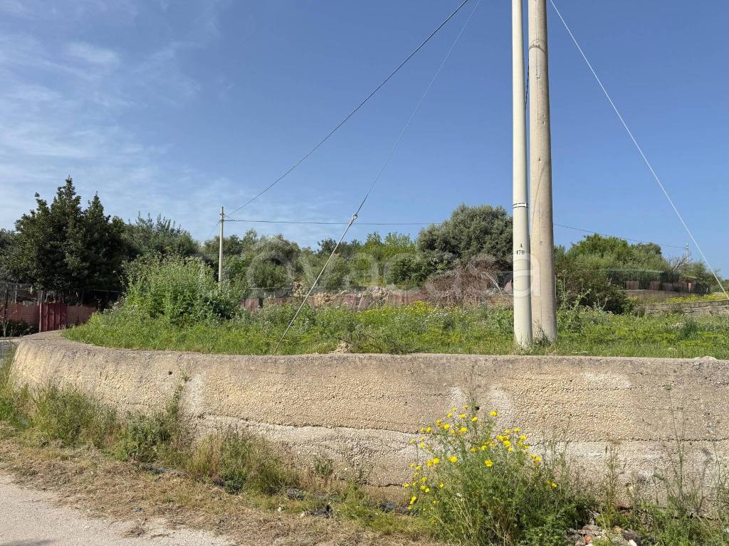 immagine annuncio 11 di 14