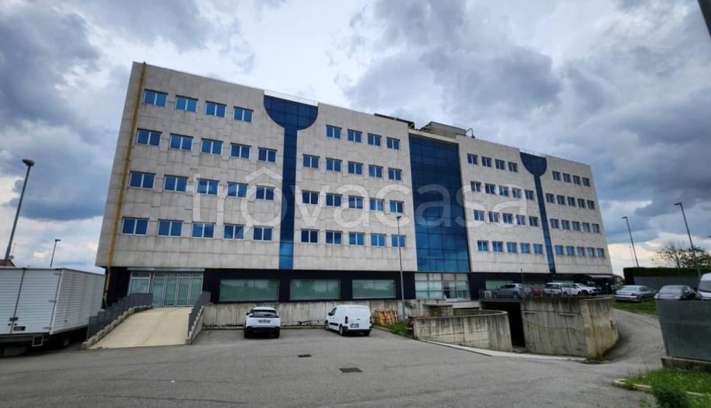 immagine annuncio 1 di 9